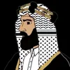 ameer.alhejazi
