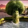 sonbroccoli3005