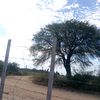 .marcelo.0850