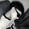 luiis_bloqueado