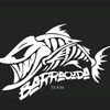 barracuda.13th
