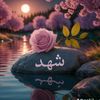 user211521232