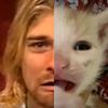 normal_nirvana_fan