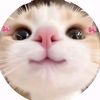 jamijami039