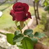 mike59580