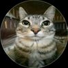 sareun_devit_prime
