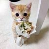 kum__p_04