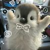randomdudewholike2