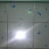 rosah7250