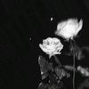 madyaw_1
