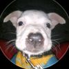 cesar.luciano.gua