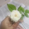 md.nadia.aiktir
