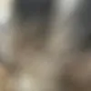 thunder_paws00