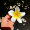 kotha.moni5231