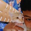 ochaaaasikucing2