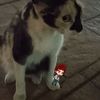 xander_xa0