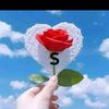 sajjad56157