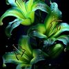 user0412070657