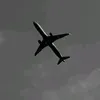 q_last1