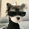 happy.pets.life3