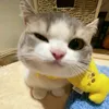 jhn_vnnn