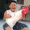 ikadek.bhaskara.d