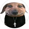 mumkinmodnik13