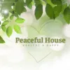 Peaceful House