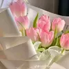 flower_of_youth0