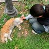 hanii_1040