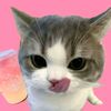 pinkyss17