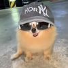 chad_2951