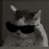 l..11..a..5