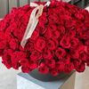 amsal.amsal29