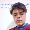 user8217384457299
