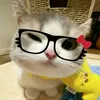 nhus_is88