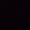 pipit_362
