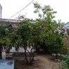 phuoctran7671