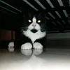 user0708112011