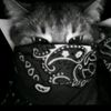 video_random_04