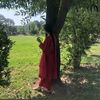 hadia.ali90