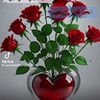 user1661418197384