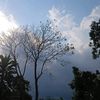 azizah.541