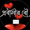 user97060959766157