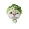 ycutephomaiquehotmehehe
