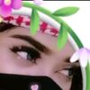 user82284277636617