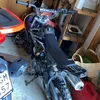 maxax.31