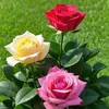 shvan.talleb