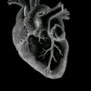 user9601419446621