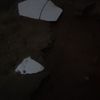 hawomuhammed780